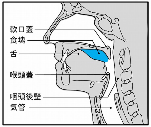 口腔期.jpg