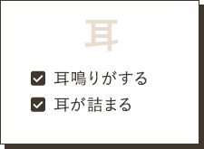 耳：耳鳴りがする・耳が詰まる